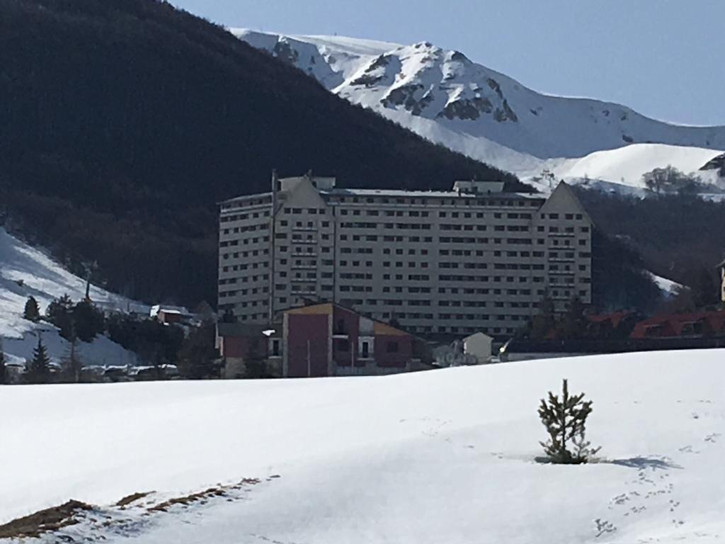 Aremogna Sulle Piste Da Sci *